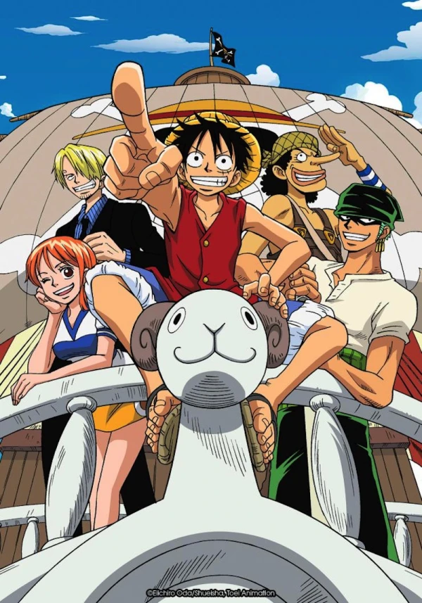 One Piece Cover
