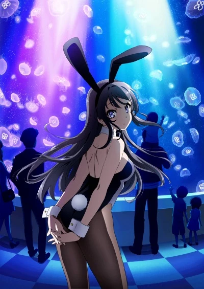 Rascal Does Not Dream of Bunny Girl Senpai Cover